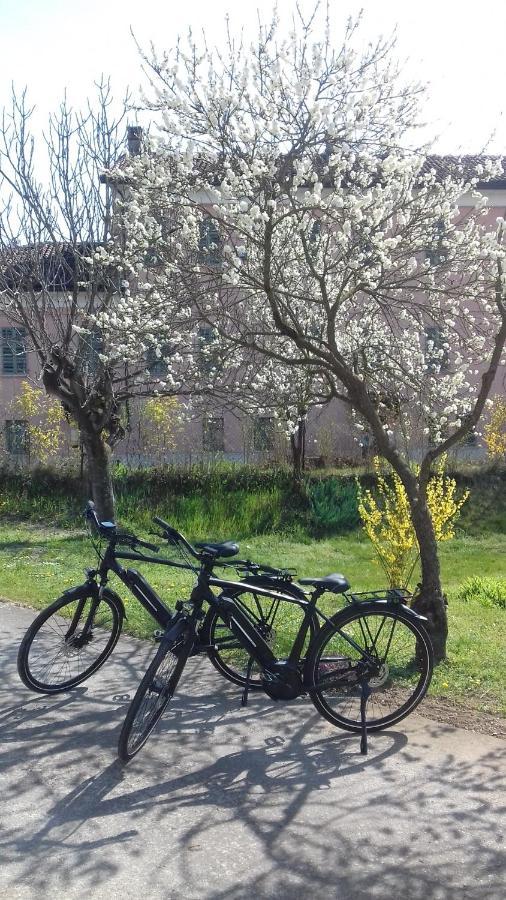 Agriturismo Casa Matilde Lauriano Zewnętrze zdjęcie